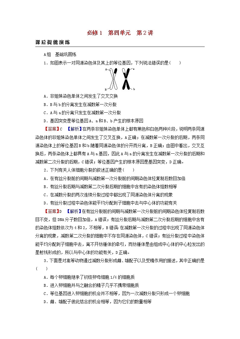2023版高考生物一轮总复习第4单元细胞的生命历程第2讲减数分裂和受精作用课后提能演练01