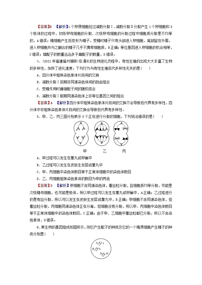 2023版高考生物一轮总复习第4单元细胞的生命历程第2讲减数分裂和受精作用课后提能演练02