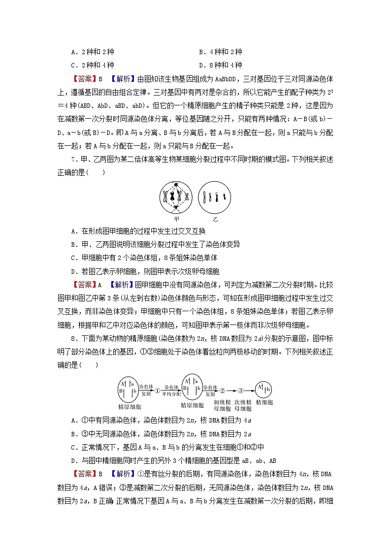 2023版高考生物一轮总复习第4单元细胞的生命历程第2讲减数分裂和受精作用课后提能演练03