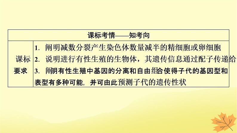 2023版高考生物一轮总复习第4单元细胞的生命历程第2讲减数分裂和受精作用课件第2页