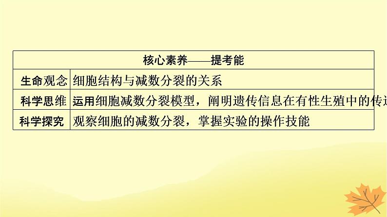 2023版高考生物一轮总复习第4单元细胞的生命历程第2讲减数分裂和受精作用课件第3页