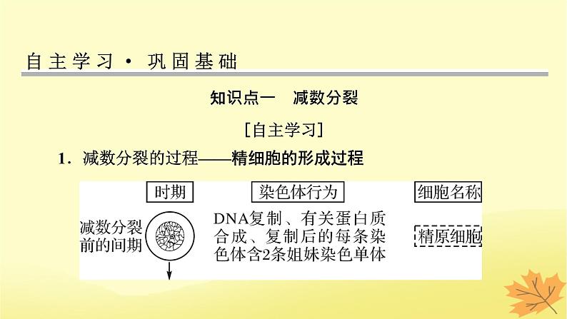 2023版高考生物一轮总复习第4单元细胞的生命历程第2讲减数分裂和受精作用课件第4页