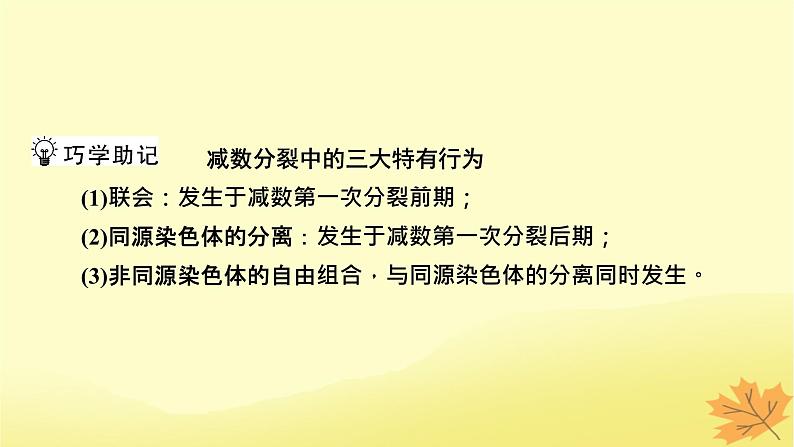 2023版高考生物一轮总复习第4单元细胞的生命历程第2讲减数分裂和受精作用课件第7页