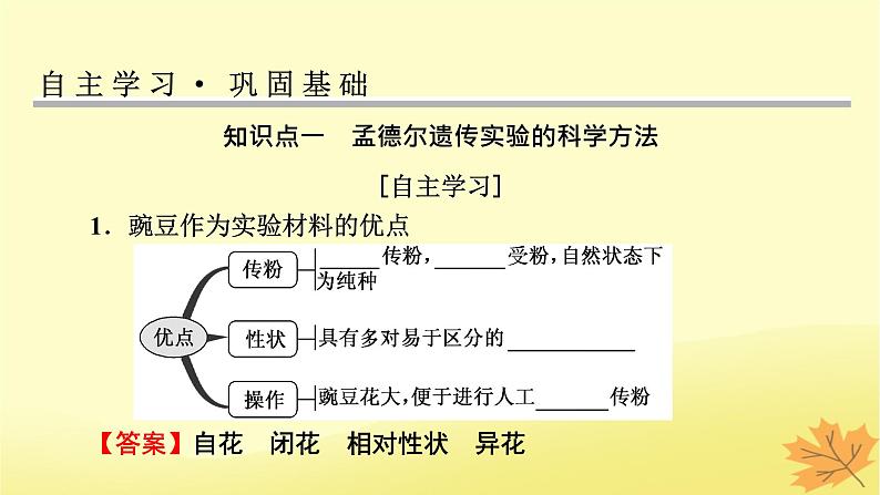 2023版高考生物一轮总复习第5单元遗传因子的发现基因和染色体的关系第1讲孟德尔的豌豆杂交实验一课件第3页