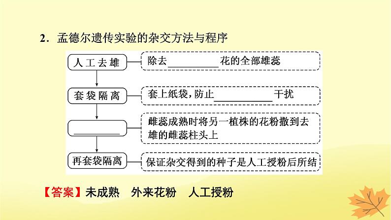 2023版高考生物一轮总复习第5单元遗传因子的发现基因和染色体的关系第1讲孟德尔的豌豆杂交实验一课件第4页