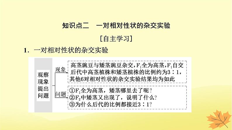 2023版高考生物一轮总复习第5单元遗传因子的发现基因和染色体的关系第1讲孟德尔的豌豆杂交实验一课件第8页