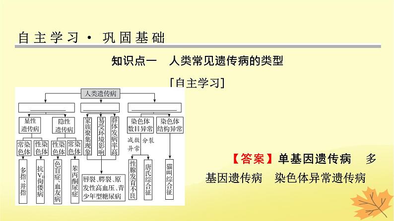 2023版高考生物一轮总复习第5单元遗传因子的发现基因和染色体的关系第4讲人类遗传病与伴性遗传的综合应用课件第3页