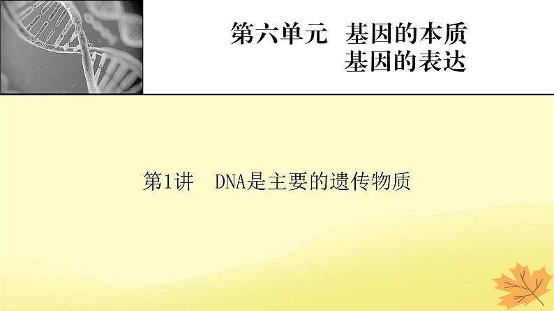 2023版高考生物一轮总复习第6单元基因的本质基因的表达第1讲DNA是主要的遗传物质课件01