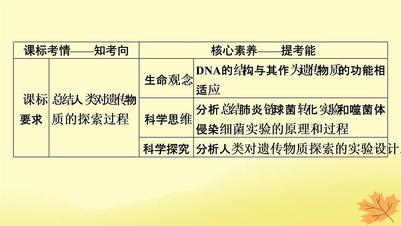 2023版高考生物一轮总复习第6单元基因的本质基因的表达第1讲DNA是主要的遗传物质课件02