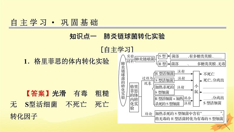 2023版高考生物一轮总复习第6单元基因的本质基因的表达第1讲DNA是主要的遗传物质课件03