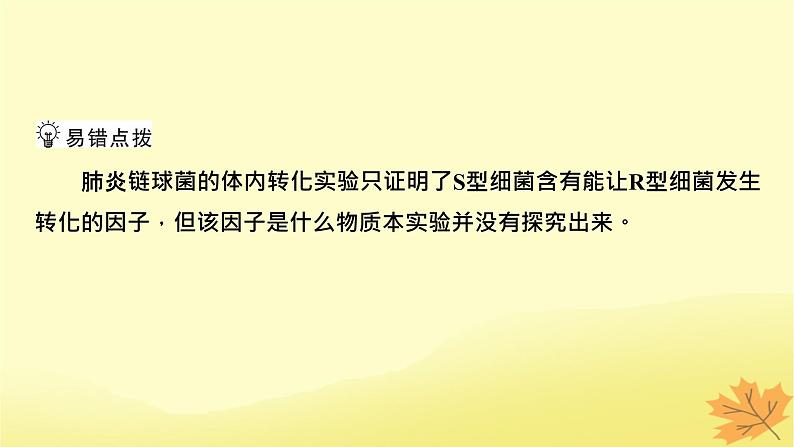 2023版高考生物一轮总复习第6单元基因的本质基因的表达第1讲DNA是主要的遗传物质课件06