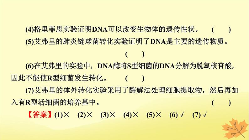 2023版高考生物一轮总复习第6单元基因的本质基因的表达第1讲DNA是主要的遗传物质课件08