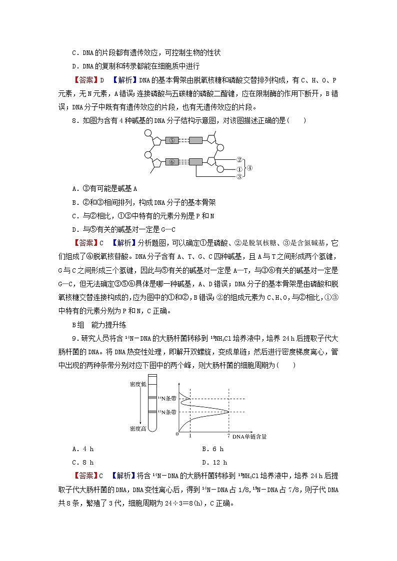 2023版高考生物一轮总复习第6单元基因的本质基因的表达第2讲DNA的结构DNA的复制基因通常是有遗传效应的DNA片段课后提能演练03