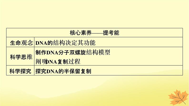 2023版高考生物一轮总复习第6单元基因的本质基因的表达第2讲DNA的结构DNA的复制基因通常是有遗传效应的DNA片段课件03