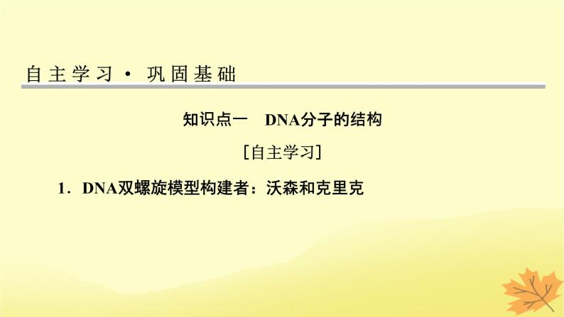 2023版高考生物一轮总复习第6单元基因的本质基因的表达第2讲DNA的结构DNA的复制基因通常是有遗传效应的DNA片段课件04