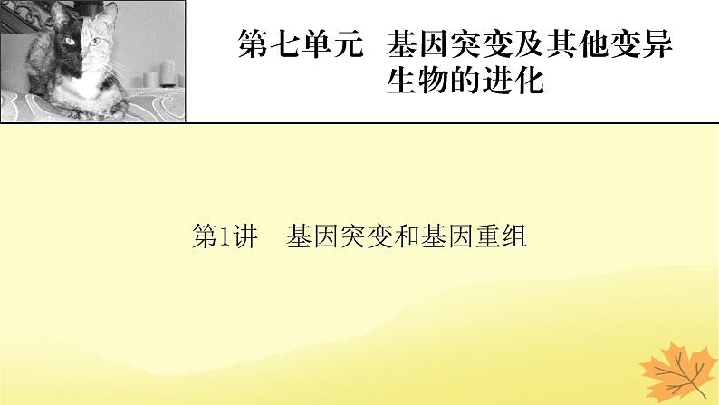 2023版高考生物一轮总复习第7单元基因突变及其他变异生物的进化第1讲基因突变和基因重组课件第1页