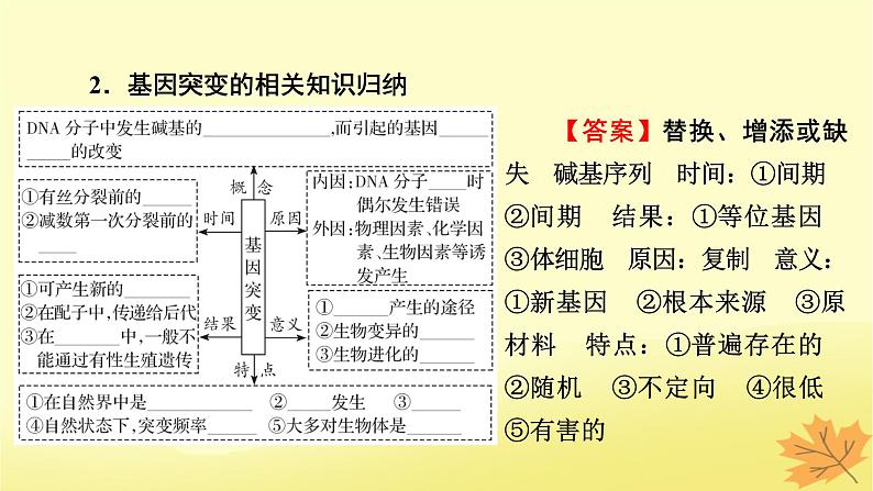 2023版高考生物一轮总复习第7单元基因突变及其他变异生物的进化第1讲基因突变和基因重组课件第4页