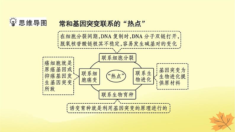 2023版高考生物一轮总复习第7单元基因突变及其他变异生物的进化第1讲基因突变和基因重组课件第5页