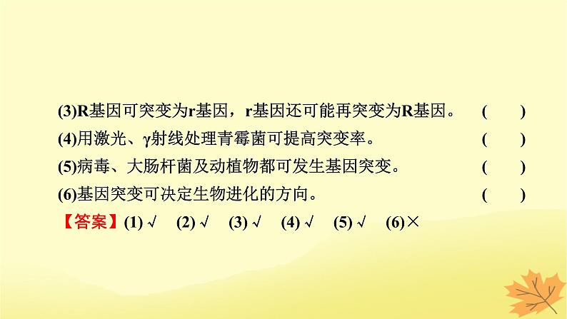 2023版高考生物一轮总复习第7单元基因突变及其他变异生物的进化第1讲基因突变和基因重组课件第7页