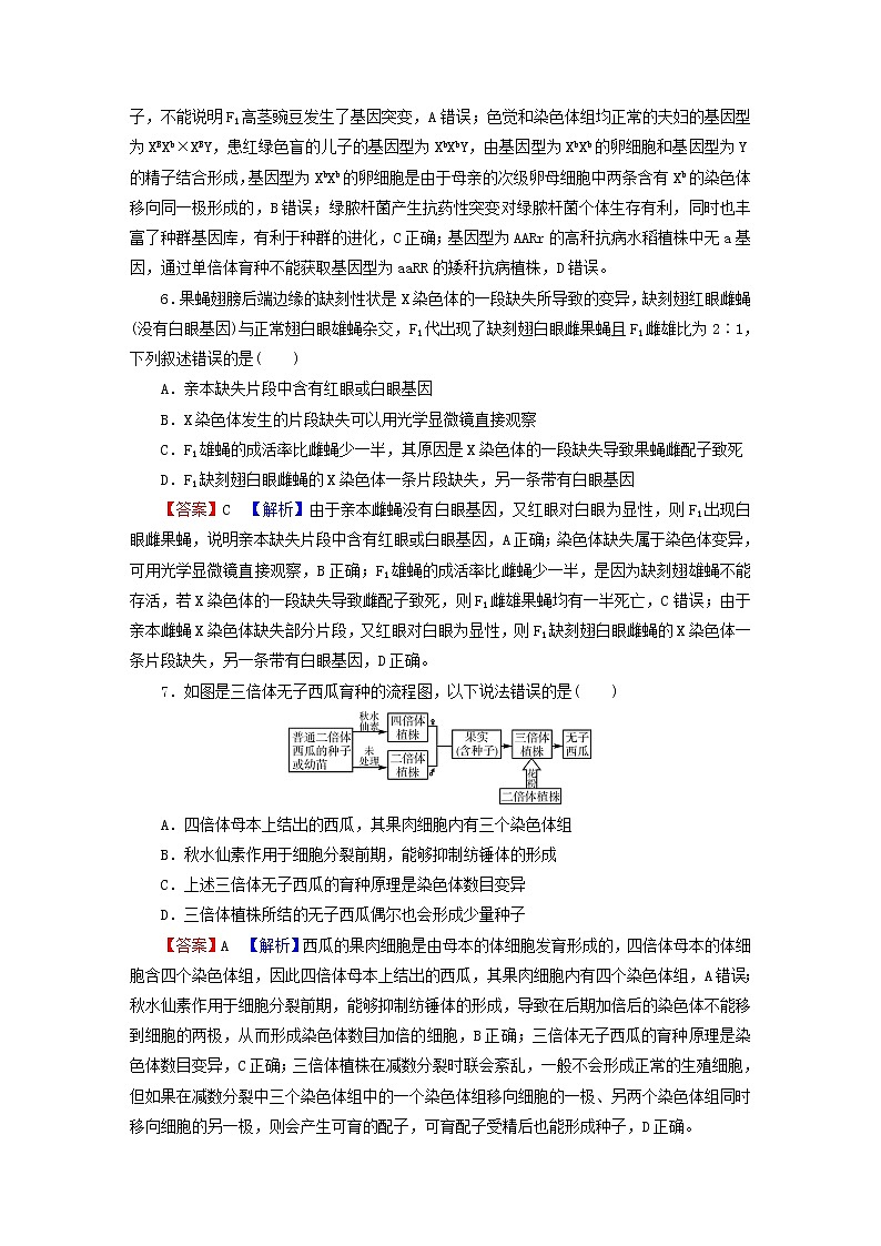 2023版高考生物一轮总复习第7单元基因突变及其他变异生物的进化第2讲染色体变异课后提能演练第3页