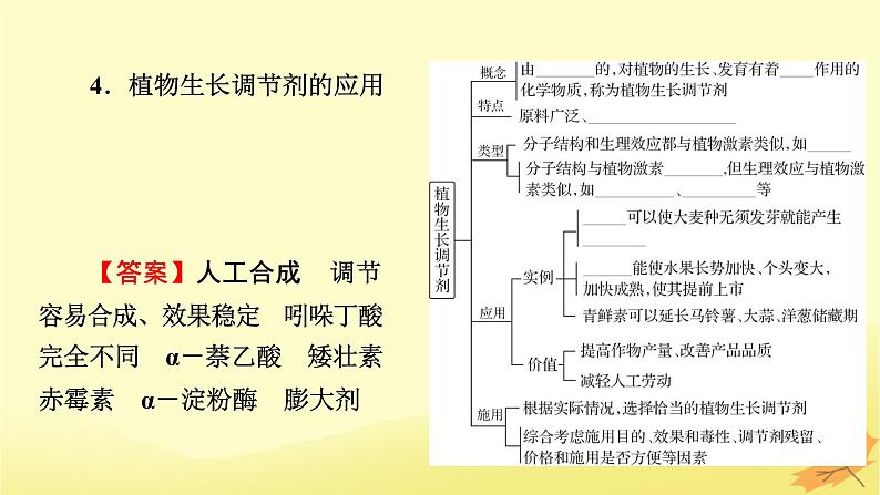 2023版高考生物一轮总复习第9单元植物生命活动的调节第2讲其他植物激素植物生长调节剂的应用环境因素参与调节植物的生命活动课件08