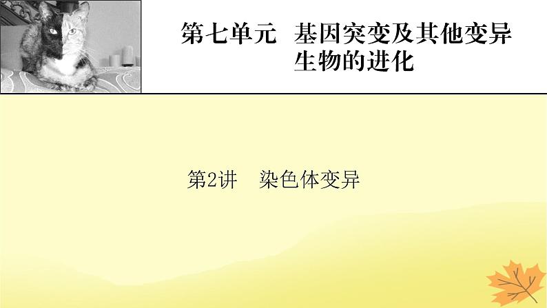 2023版高考生物一轮总复习第7单元基因突变及其他变异生物的进化第2讲染色体变异课件01