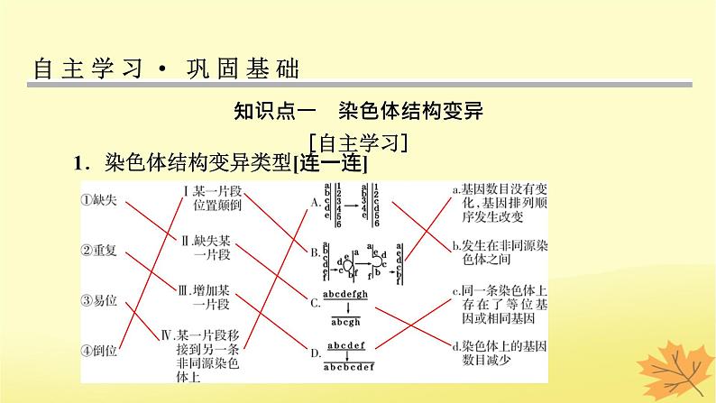 2023版高考生物一轮总复习第7单元基因突变及其他变异生物的进化第2讲染色体变异课件03