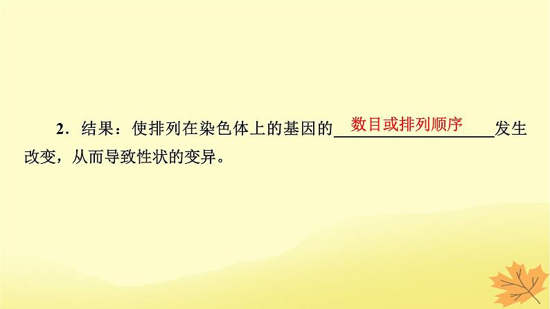 2023版高考生物一轮总复习第7单元基因突变及其他变异生物的进化第2讲染色体变异课件04