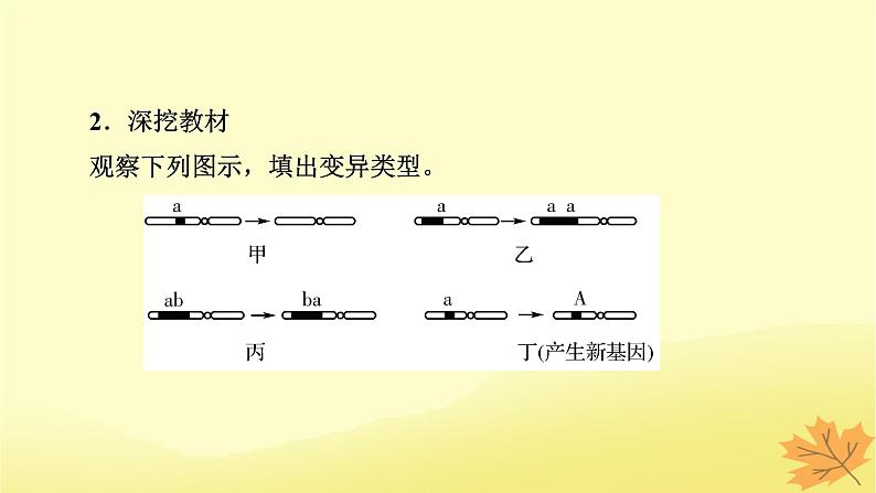 2023版高考生物一轮总复习第7单元基因突变及其他变异生物的进化第2讲染色体变异课件08