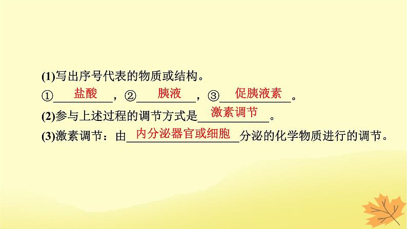 2023版高考生物一轮总复习第8单元人和高等动物生命活动的调节第3讲体液调节课件05