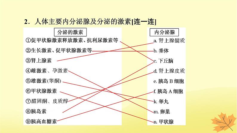 2023版高考生物一轮总复习第8单元人和高等动物生命活动的调节第3讲体液调节课件06