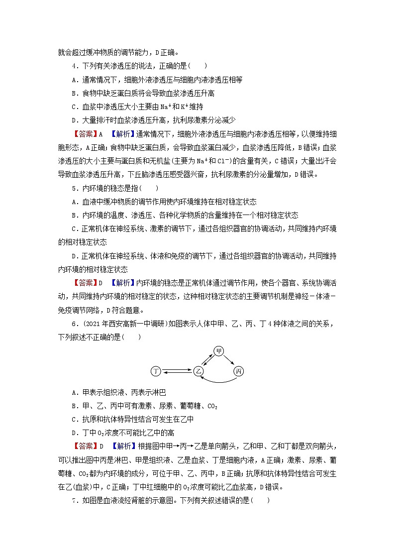 2023版高考生物一轮总复习第8单元人和高等动物生命活动的调节第1讲人体的内环境与稳态课后提能演练02