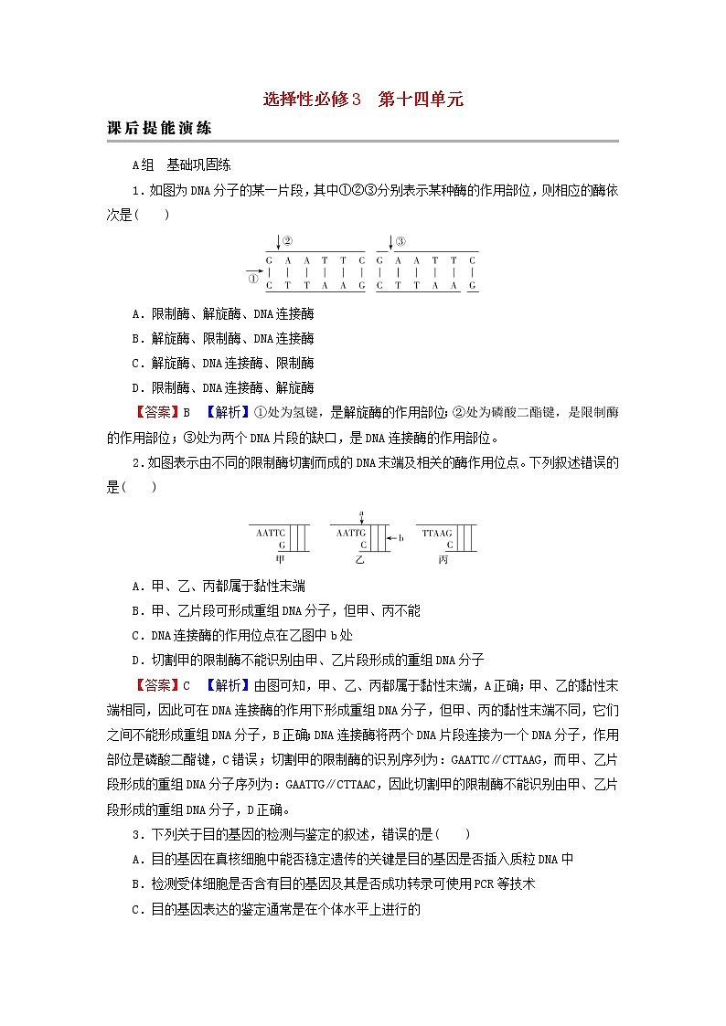 2023版高考生物一轮总复习第14单元基因工程生物技术的安全性与伦理问题课后提能演练01