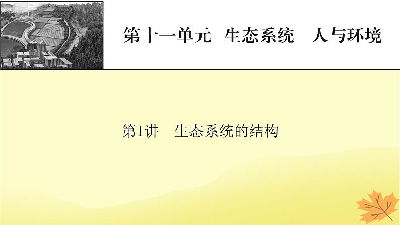 2023版高考生物一轮总复习第11单元生态系统人与环境第1讲生态系统的结构课件01