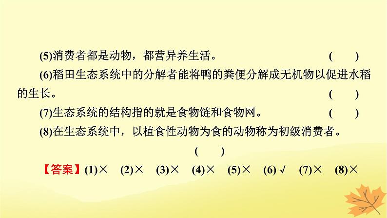 2023版高考生物一轮总复习第11单元生态系统人与环境第1讲生态系统的结构课件06