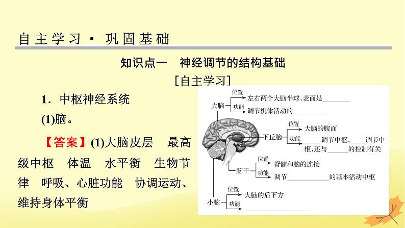 2023版高考生物一轮总复习第8单元人和高等动物生命活动的调节第2讲人体的内环境与稳态课件第4页