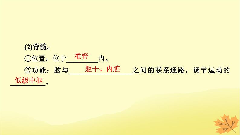 2023版高考生物一轮总复习第8单元人和高等动物生命活动的调节第2讲人体的内环境与稳态课件第5页