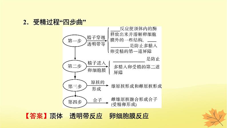 2023版高考生物一轮总复习第13单元细胞工程第2讲胚胎工程课件04