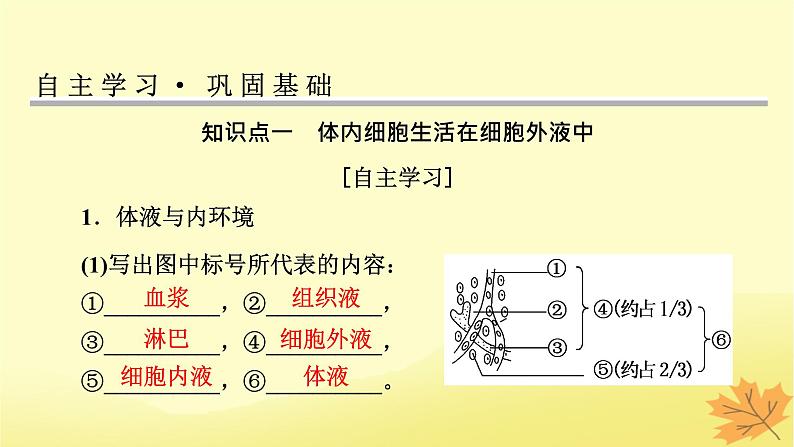 2023版高考生物一轮总复习第8单元人和高等动物生命活动的调节第1讲人体的内环境与稳态课件04