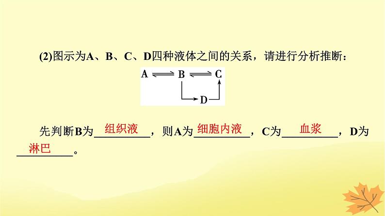 2023版高考生物一轮总复习第8单元人和高等动物生命活动的调节第1讲人体的内环境与稳态课件05