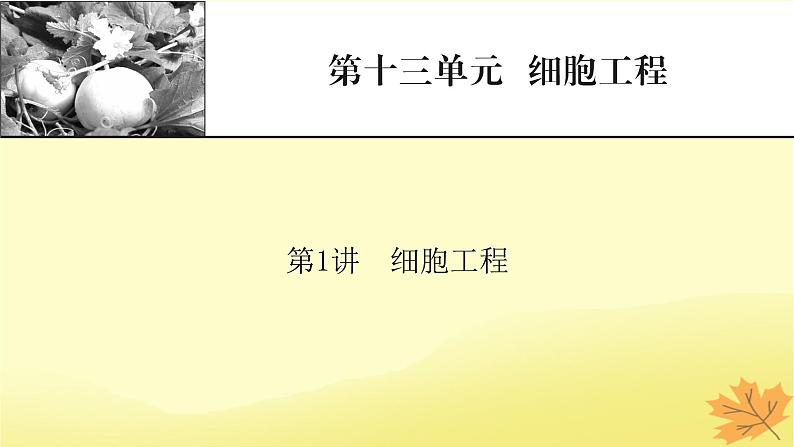 2023版高考生物一轮总复习第13单元细胞工程第1讲细胞工程课件第1页