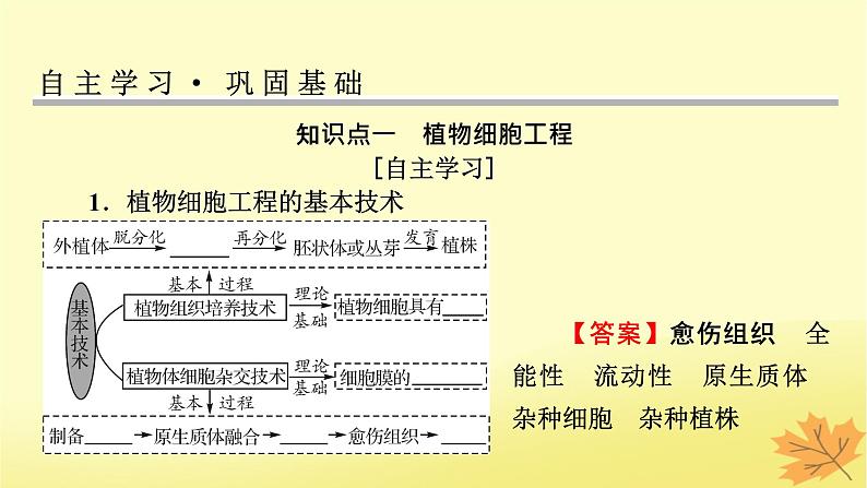 2023版高考生物一轮总复习第13单元细胞工程第1讲细胞工程课件第4页