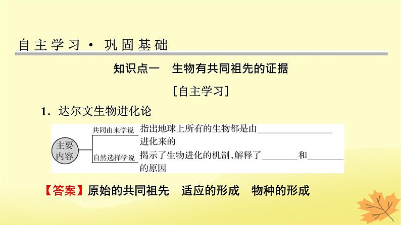 2023版高考生物一轮总复习第7单元基因突变及其他变异生物的进化第3讲生物的进化课件04