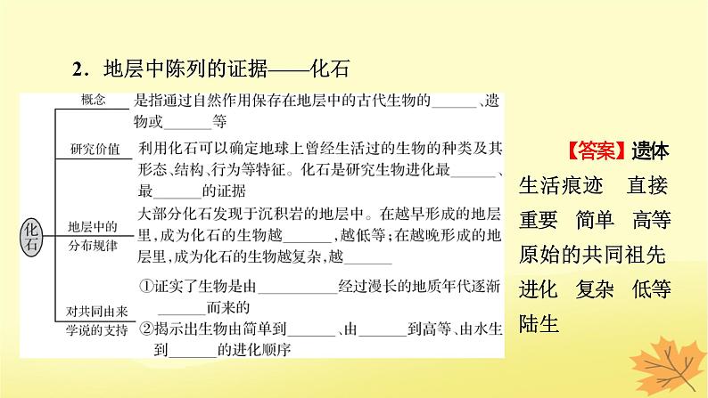 2023版高考生物一轮总复习第7单元基因突变及其他变异生物的进化第3讲生物的进化课件05