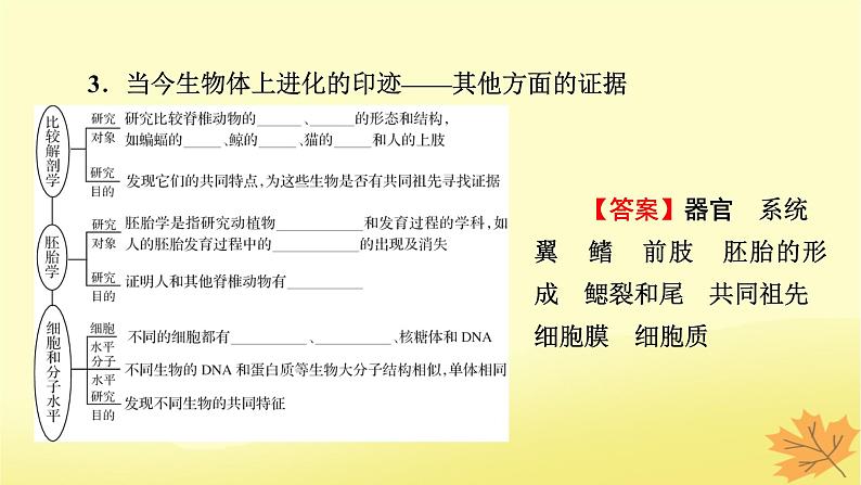 2023版高考生物一轮总复习第7单元基因突变及其他变异生物的进化第3讲生物的进化课件06