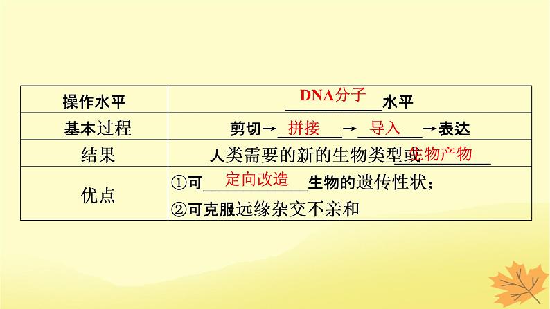 2023版高考生物一轮总复习第14单元基因工程生物技术的安全性与伦理问题课件05