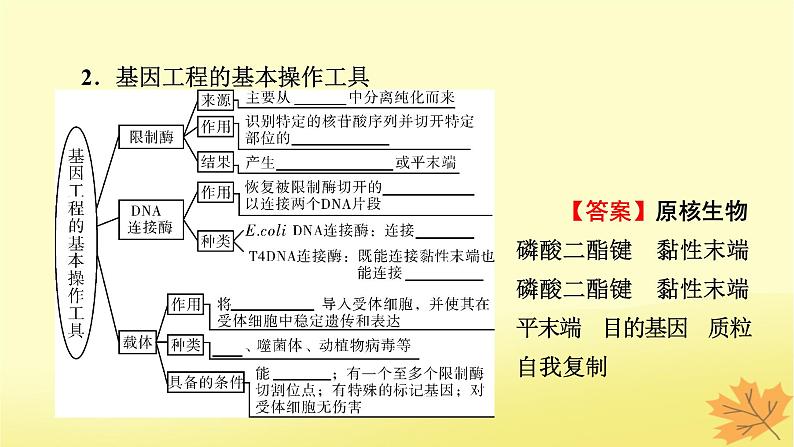 2023版高考生物一轮总复习第14单元基因工程生物技术的安全性与伦理问题课件06