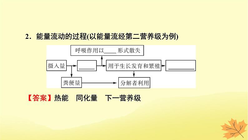 2023版高考生物一轮总复习第11单元生态系统人与环境第2讲生态系统的能量流动物质循环课件第5页