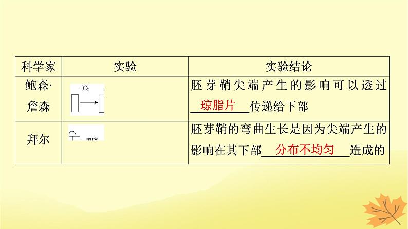 2023版高考生物一轮总复习第9单元植物生命活动的调节第1讲植物生长素课件04