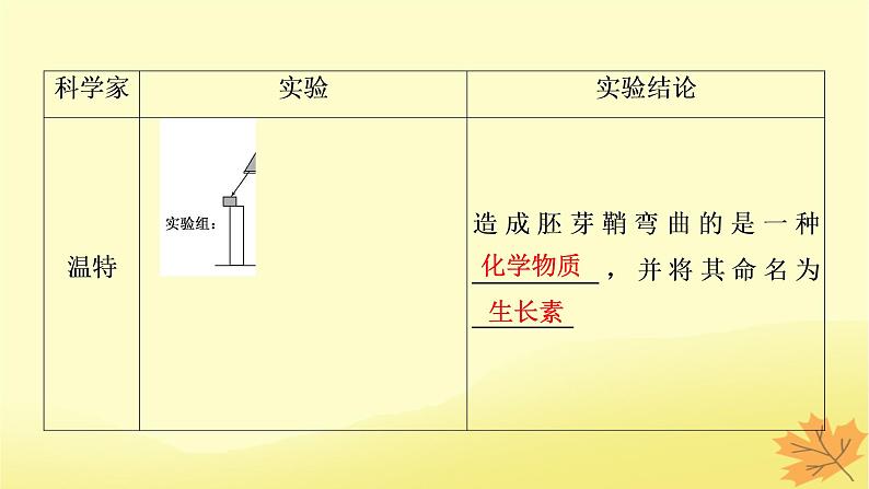 2023版高考生物一轮总复习第9单元植物生命活动的调节第1讲植物生长素课件05